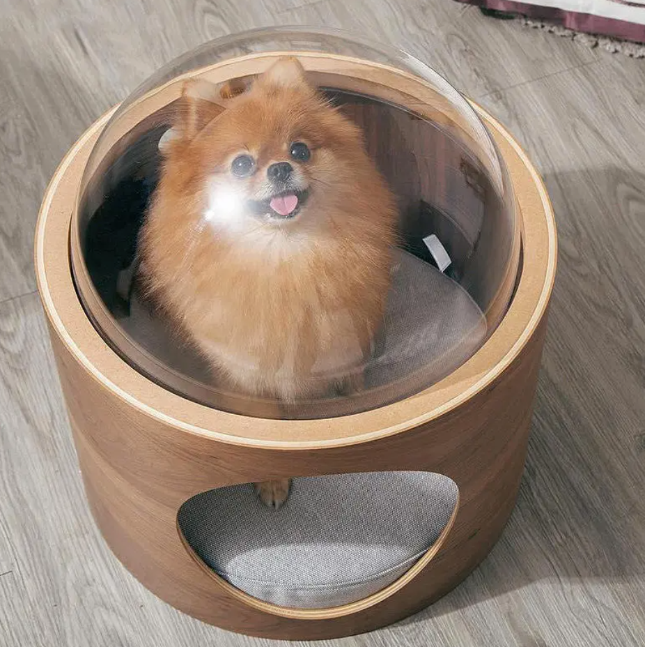 Cat sleeping inside clear dome transparent pet bed