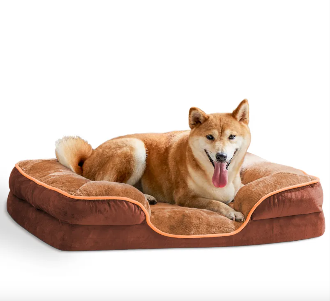 Dog resting on memory foam pet bed in living room